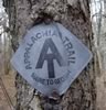 Brothers Backpacking The Appalachian Trail